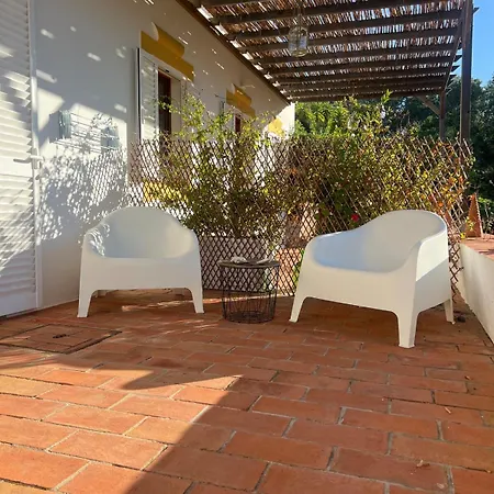 Casa Oliveira Holiday home