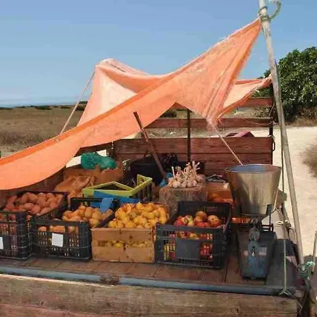 Casa Oliveira