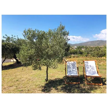 Casa Oliveira Holiday home *