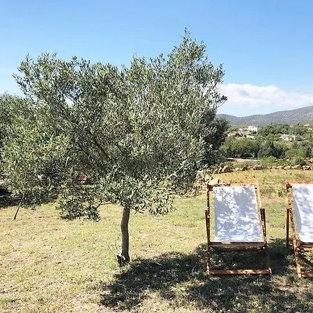 Casa Oliveira Holiday home *