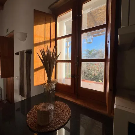 Casa Oliveira Holiday home *