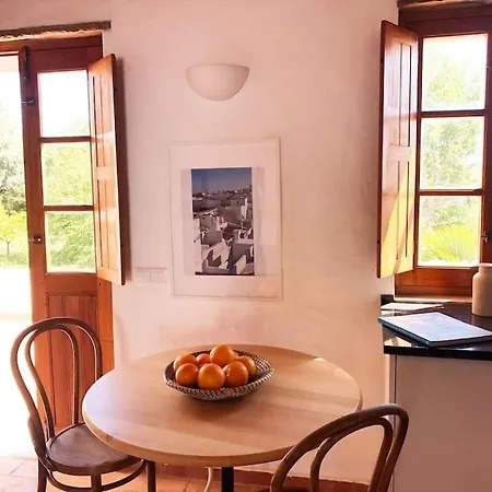 Casa Oliveira