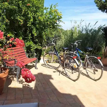Casa Oliveira Holiday home