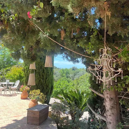 Casa Oliveira Holiday home